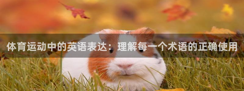 意昂3平台注册