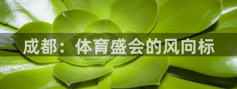 意昂官网