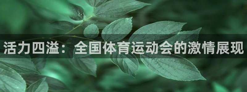 意昂24平台