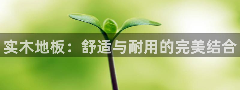意昂2平台主管