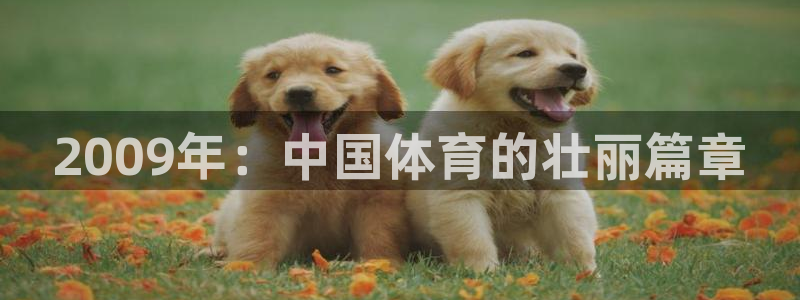 意昂2官网入口