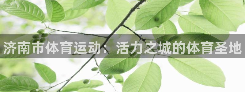 意昂平台招商