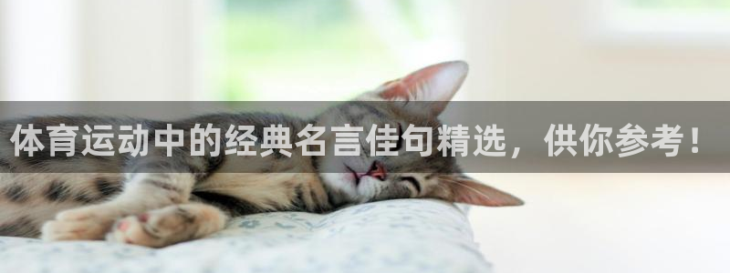 成都意昂2电子有限公司