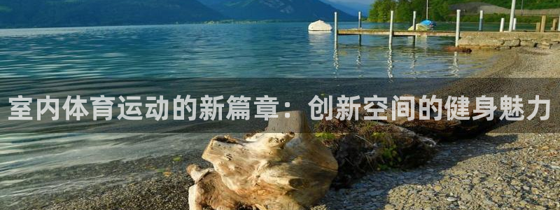 意昂扬是什么意思