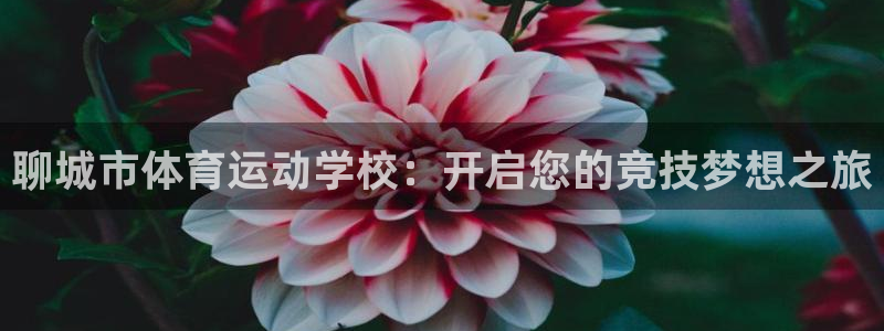 意昂25招商