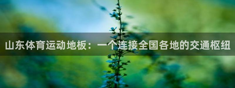 意昂2体育2