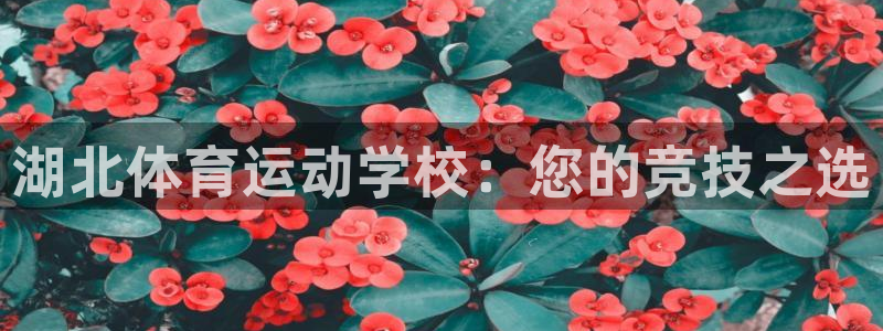 意昂22注册