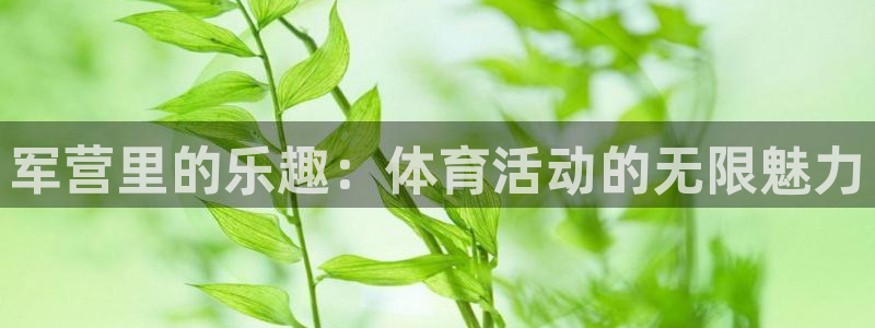 意昂23代理
