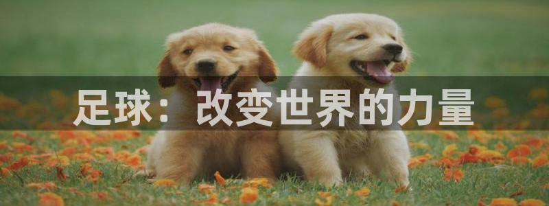 意昂2体育3在线注册