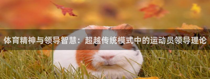 意昂23注册