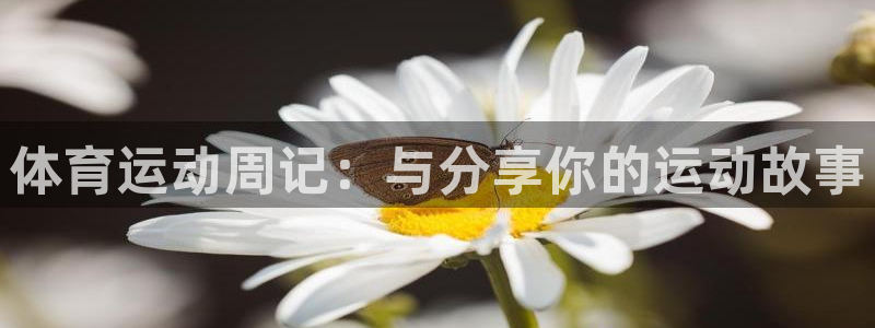 意昂23登录
