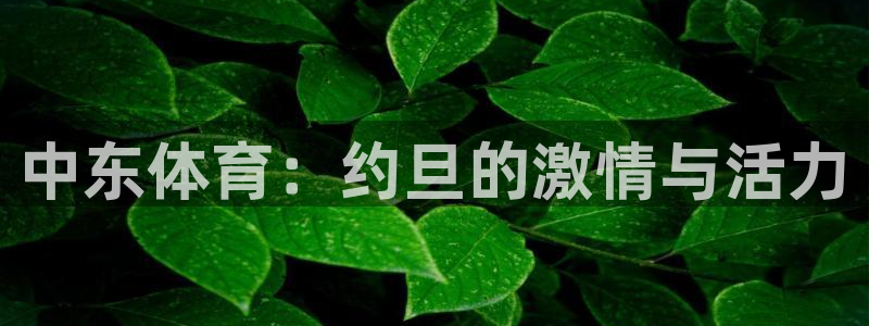 意昂3登录